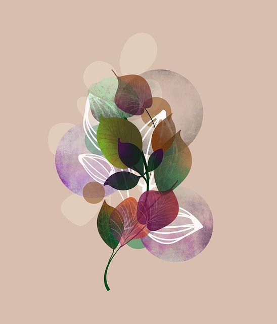 Planta, Naturaleza, Flores, Boho
