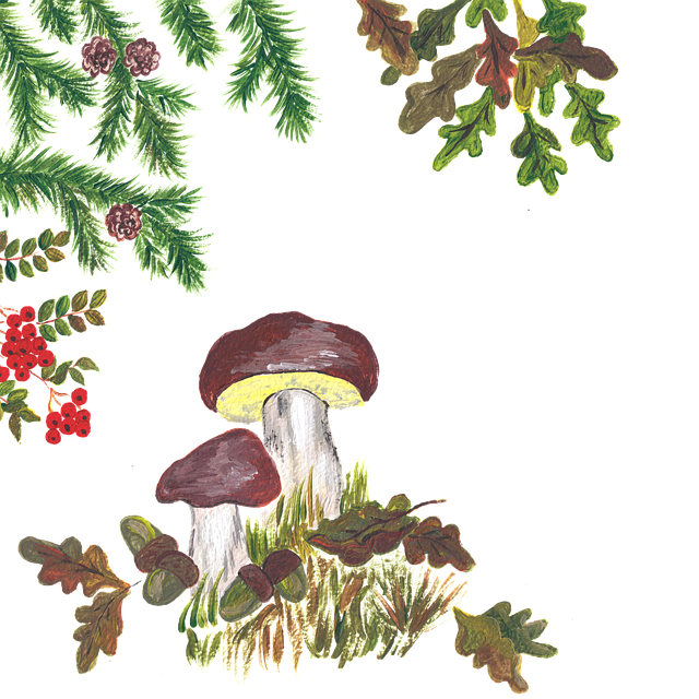 Download free HD stock image of Autumn Rowan Berries Free autumn rowan berries mushrooms vector