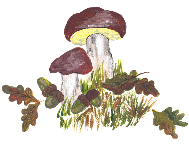 Free mushrooms oak leaves moss vector