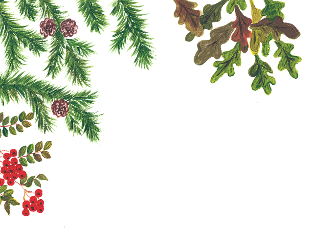 Download free HD stock image of Autumn Rowan Berries Free autumn rowan berries oak leaves vector