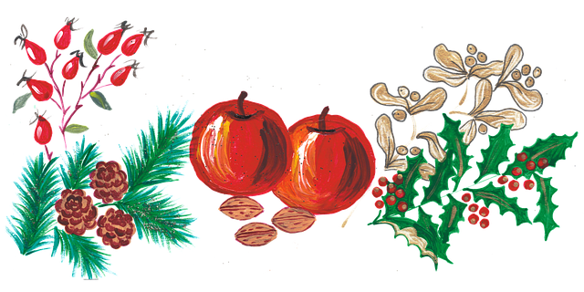 Free christmas apples holly vector