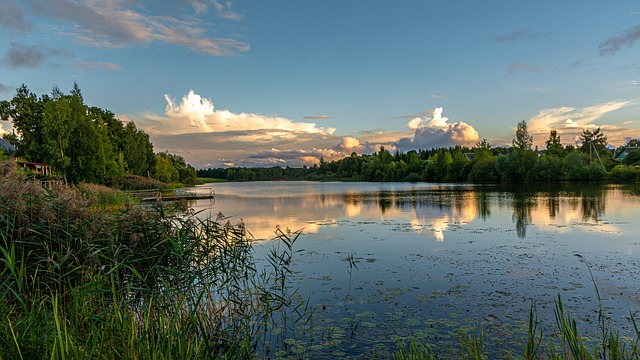 Free Reflection Nature photo and picture