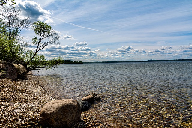 Free Summer Nature photo and picture