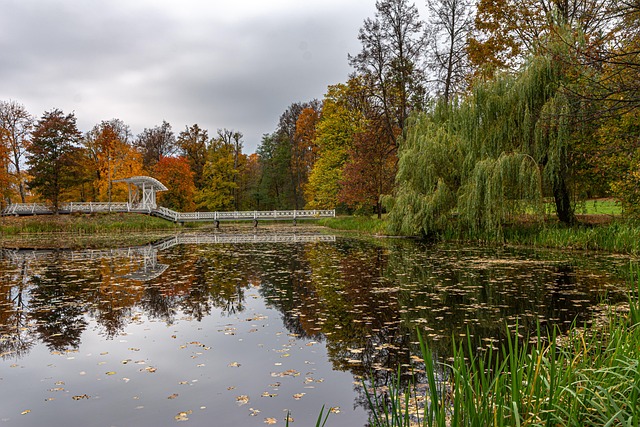 Free Autumn Landscape photo and picture