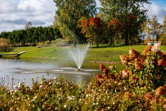 Free Fountain Water photo and picture