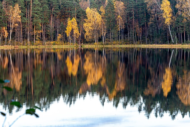 Free Lake Autumn photo and picture