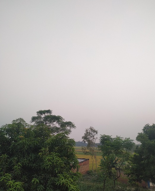 Aryan, Indisk, Uttarpradesh, Landskap