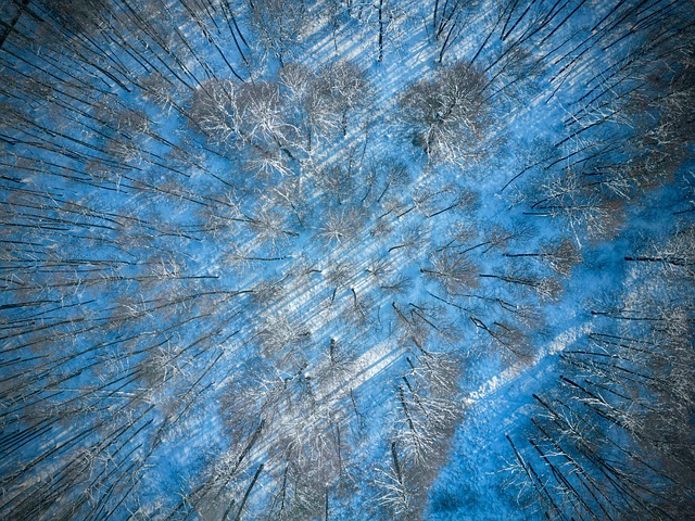 Dji, Trântor, Peisaj, Natura, Iarnă