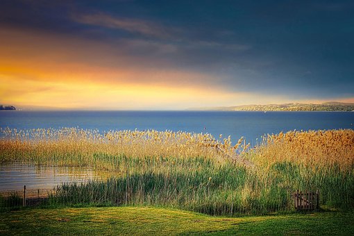 Riverbank, Stuf, Luncă