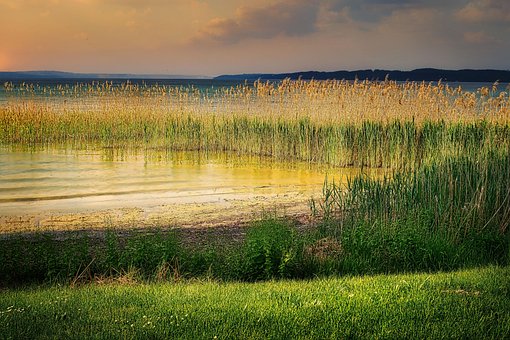 Riverbank, Stuf, Luncă