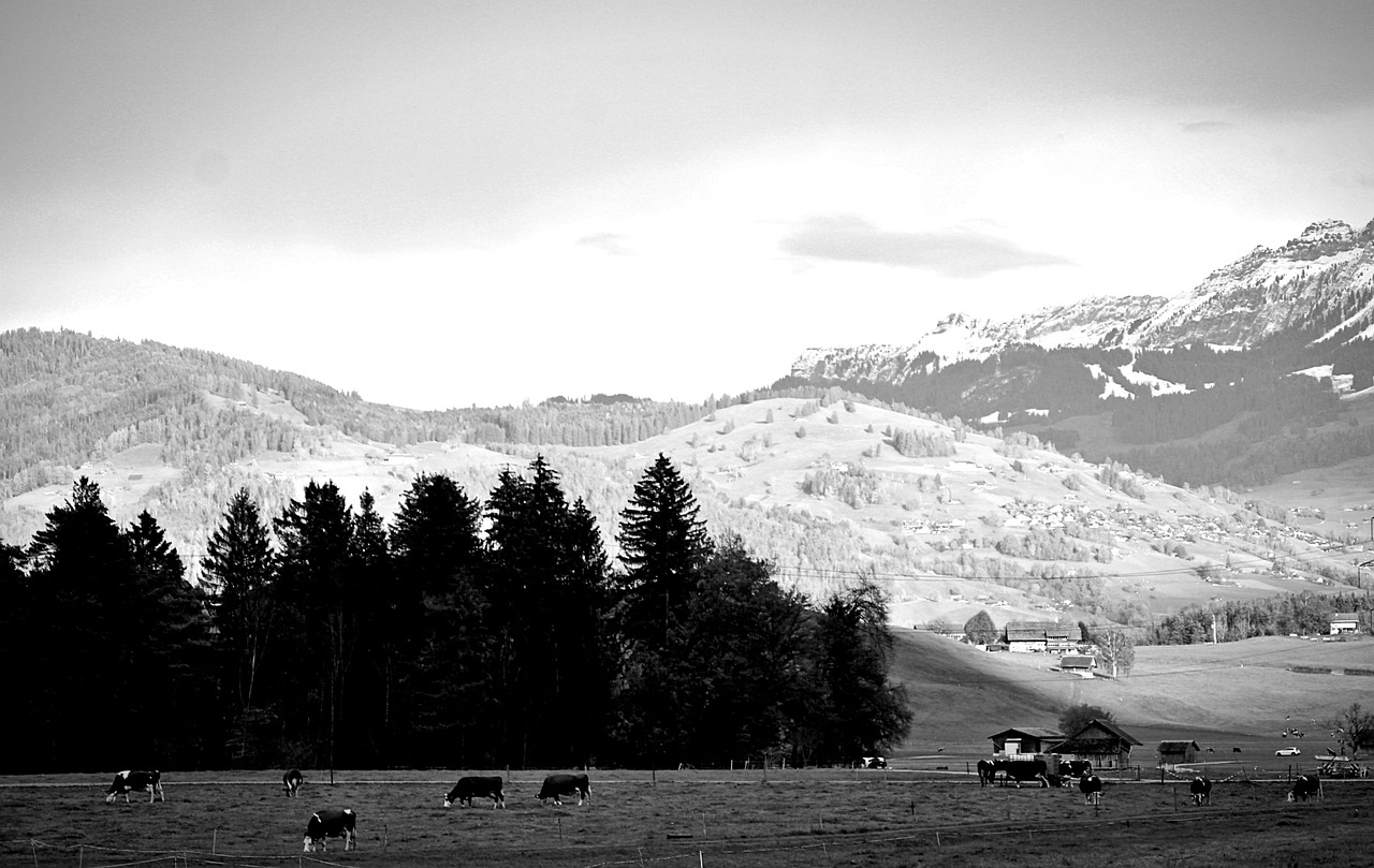 Landscape alps monochrome free photo on pixabay pixabay