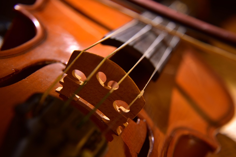 Violin String Instrument Close Up Free photo on Pixabay