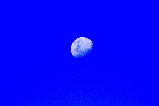 Free Moon Moonlight photo and picture