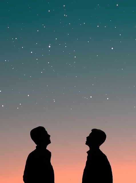Free Silhouette Sunset photo and picture