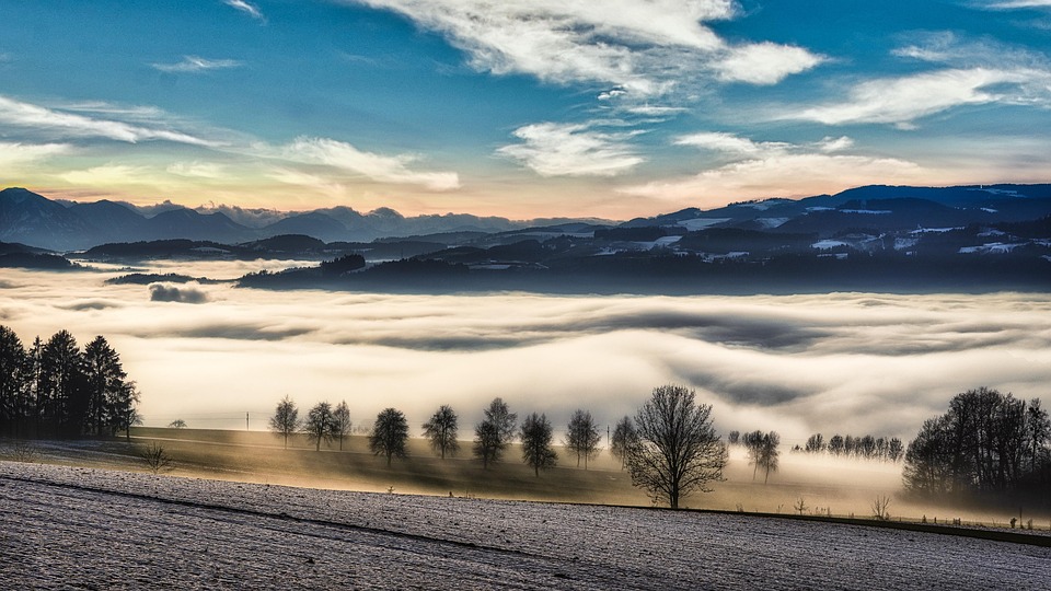 Top 5 Affordable Housing Options for Students in Austria