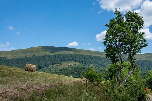 Free Bieszczady Meadows photo and picture
