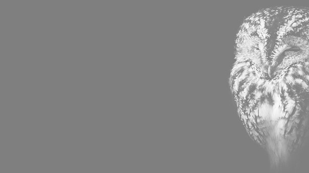 Free Banner Map photo and picture