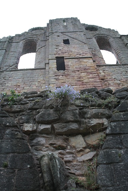 Free Fountains Abbey Yorkshire photo and picture