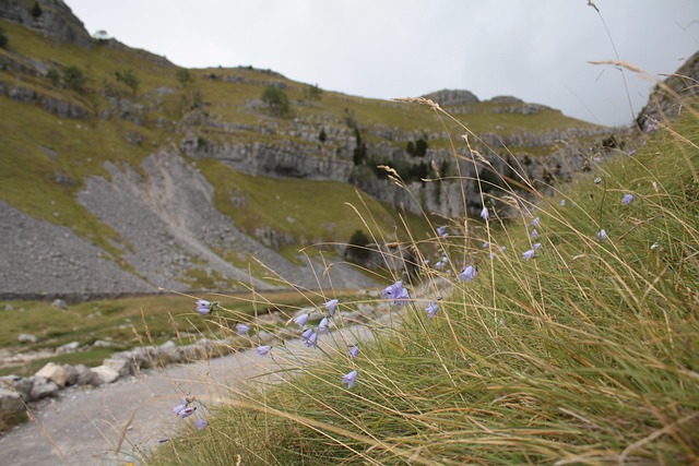 Free Gordale Scar Malham photo and picture