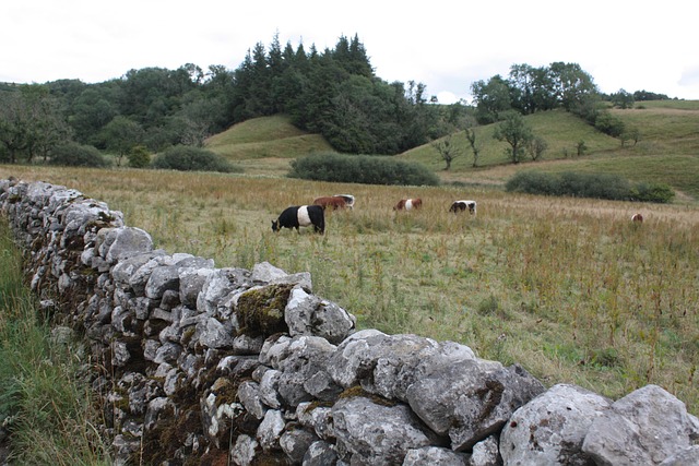 Free Malham Yorkshire photo and picture