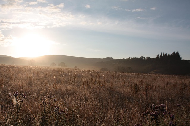 Free Malham Yorkshire photo and picture