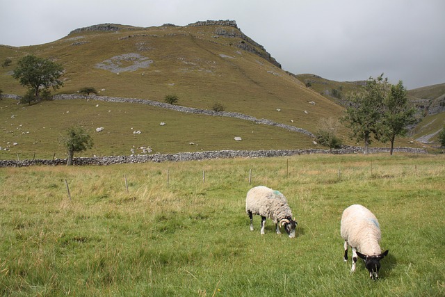 Free Malham Yorkshire photo and picture