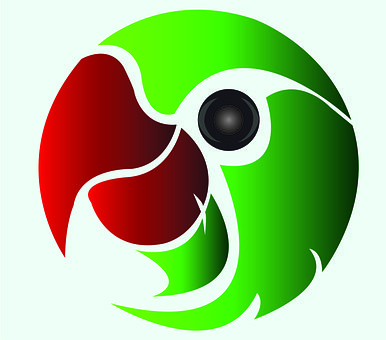 Free Parrot Pattern photo and picture
