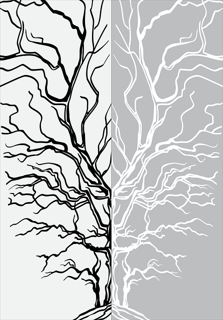 Free Tree Nature vector and picture
