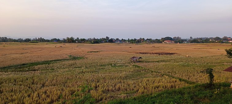 Free Agriculture Field photo and picture