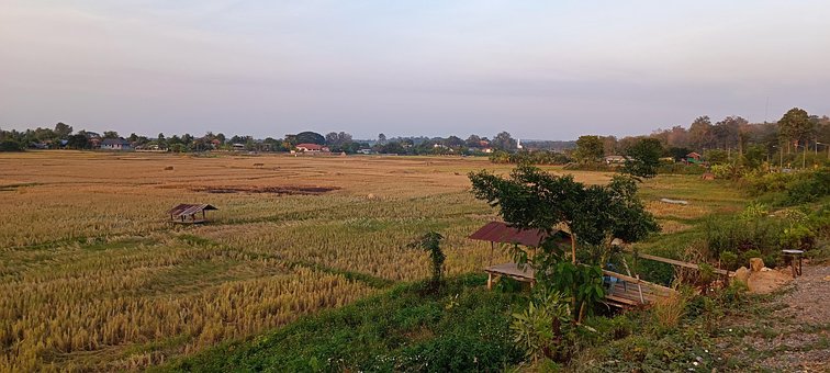 Free Agriculture Field photo and picture