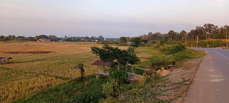 Free Agriculture Field photo and picture
