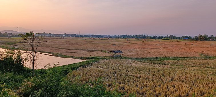 Free Field Nature photo and picture