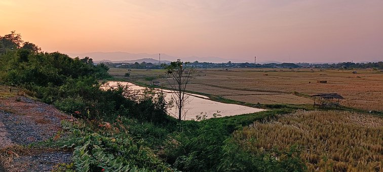 Free Field Nature photo and picture