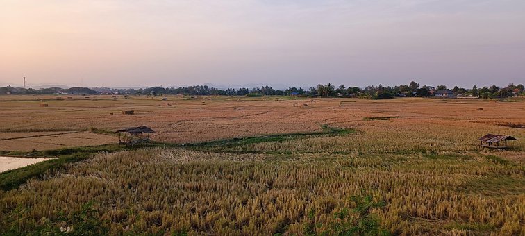 Free Field Nature photo and picture