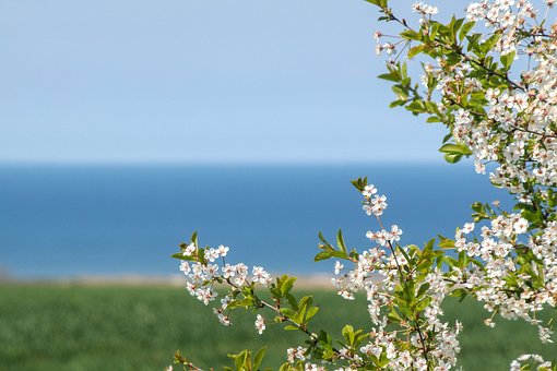 Free Kühlungsborn Landscape photo and picture