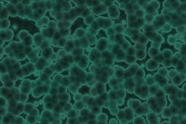 Abstract, Alergen, Bacterii, Bacterie