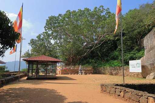 Free Mihintale Dethis Pala Bodhi Mihintale photo and picture