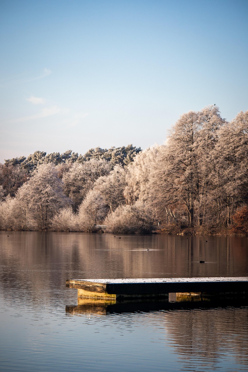 冬天 湖 树木 - Pixabay上的免费照片 - Pixabay
