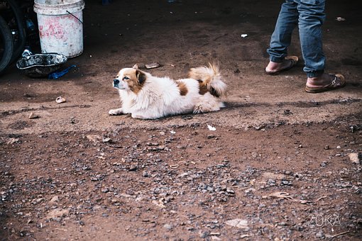Leben, Mondulkiri, Alltagsleben, Markt