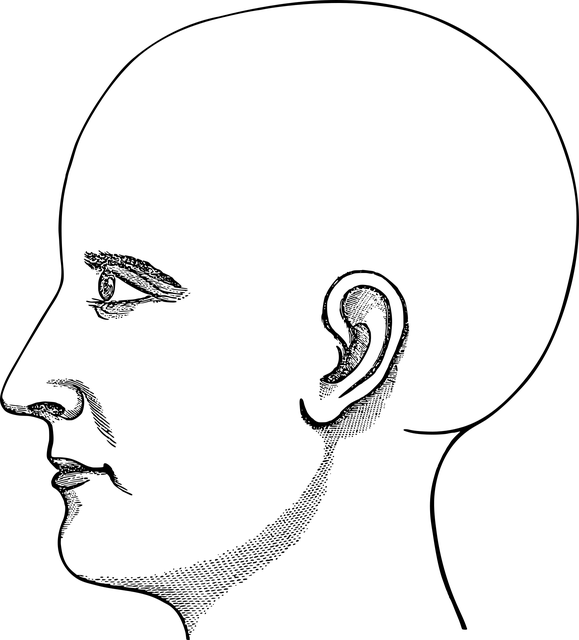 Free man face head illustration