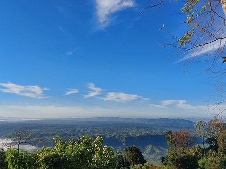 Natur, Landschaft, Wald, Hd-Hintergrund