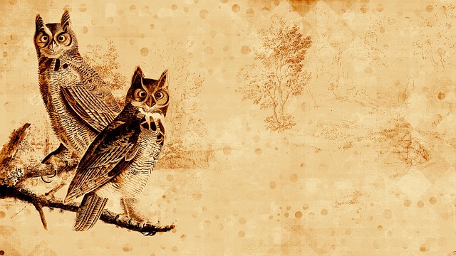 Free background graphic decor backdrop illustration