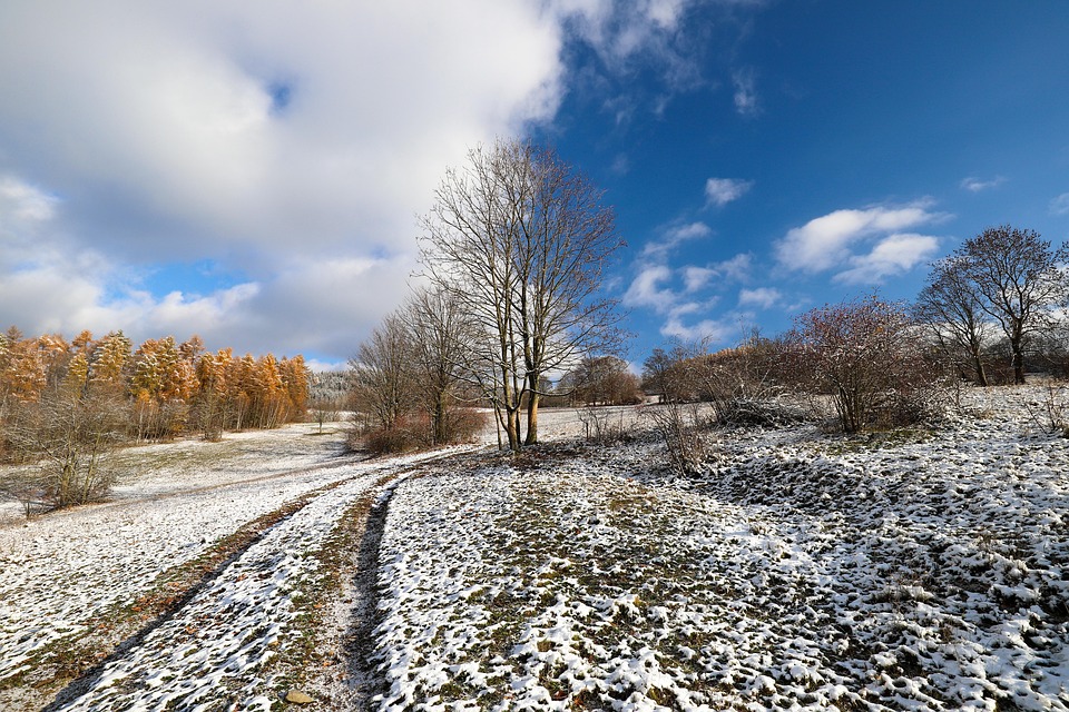 Countryside Winter Nature - Free photo on Pixabay