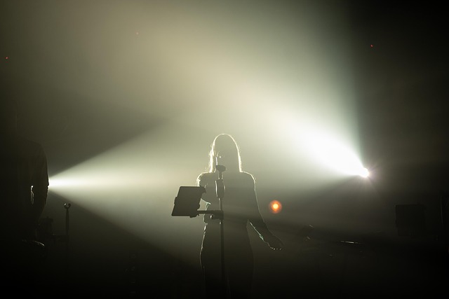 Free Light Stage photo and picture