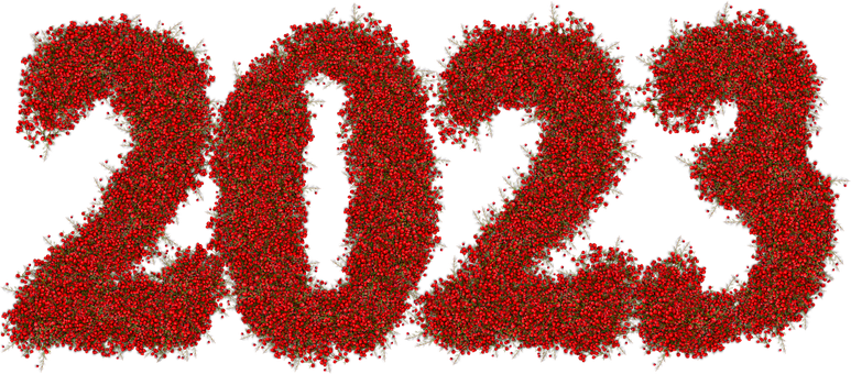 Blumen, Neujahr, 2023, Feier, Festival