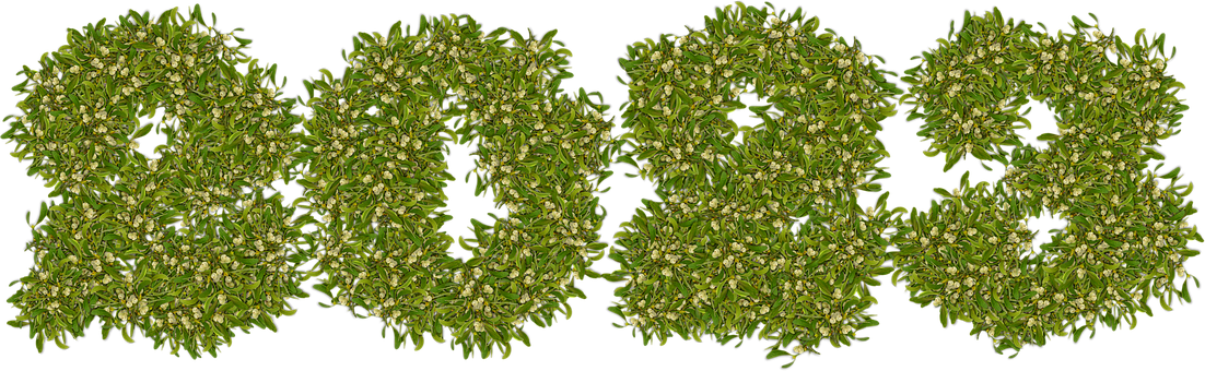 Neujahr, Natur, 2023, Blumen, Festival