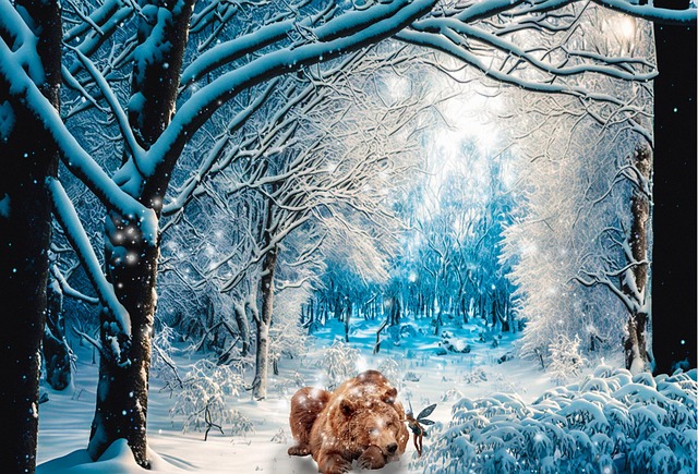 Free forest winter nature illustration