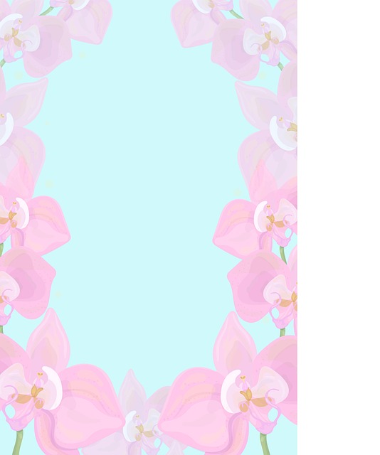 Free flower nature orchid illustration