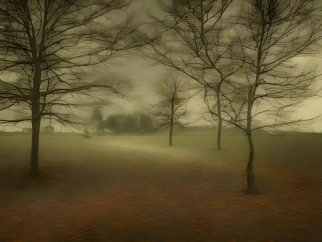 Free Tree Nature photo and picture
