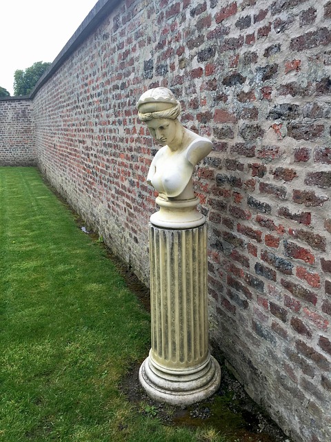 Ireland Bust Garden - Free photo on Pixabay - Pixabay